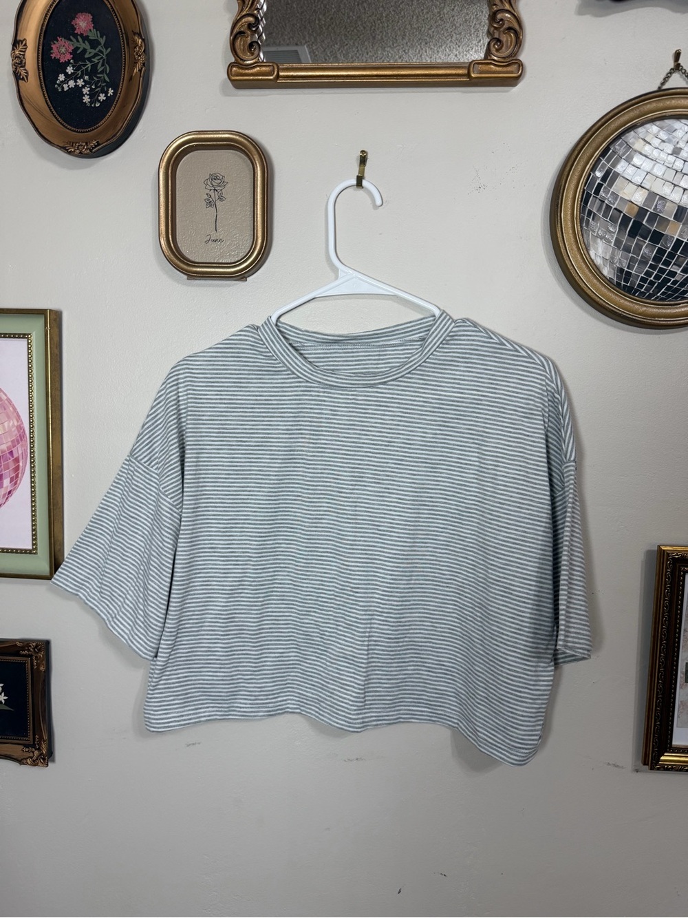 Cropped Boxy Short Sleeve Tee - Gray/White Stripes